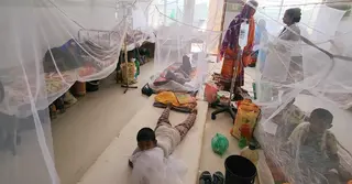 ডেঙ্গুর নতুন হটস্পট বরগুনা, চিকিৎসক সংকটে হাসপাতালে ভোগান্তি